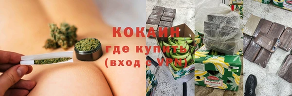 стаф Абинск