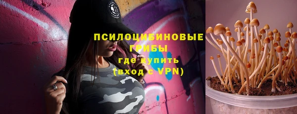 бошки Абаза