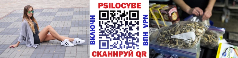Псилоцибиновые грибы Psilocybe  Галич 